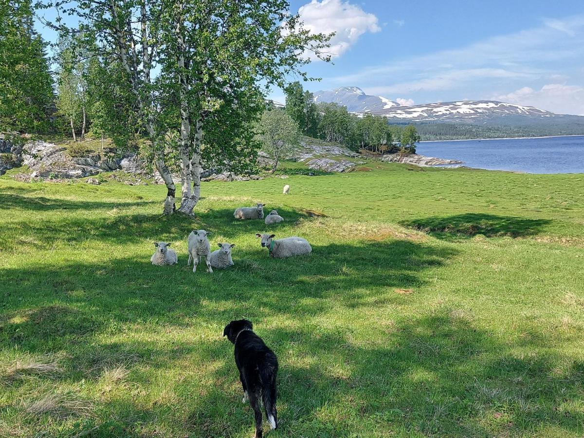 Villmarksgard Tommerstue Hattfjelldal Экстерьер фото